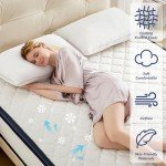 Amztree 12" Memory Foam & Pocket Coil Mattress