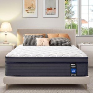 Queen Size 12-Inch Memory Foam Hybrid Mattress