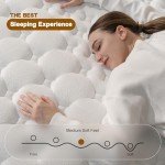 12-Inch Medium Firm Memory Foam Queen Mattress