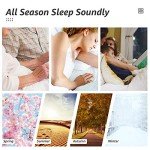 HYLEORY Queen Size All-Season Cooling Comforter