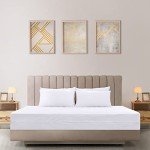 King Waterproof Mattress Protector with Bed Bug Defense