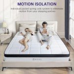 Queen Size 12" Mattress with Memory Foam & Springs