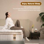 12-Inch Medium Firm Memory Foam Queen Mattress