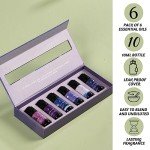 Sleep Essential Oils Set - 6 Relaxing Blends