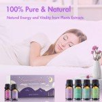 Dreamland Aromatherapy Oil Set for Sleep Diffusers