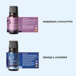 Sleep Essential Oils Set - 6 Relaxing Blends