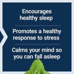 Herbal Sleep PM with Lemon Balm & Chamomile