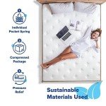 Olee Sleep 10" Plush Hybrid Mattress - Full Size