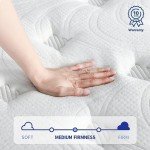 Olee Sleep 10" Plush Hybrid Mattress - Full Size