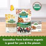 Cascadian Farm Gluten-Free Fruitful O's Cereal 10.2 oz