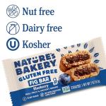 Nature's Bakery Blueberry Gluten-Free Fig Bars