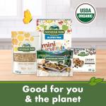 Cascadian Farm Gluten-Free Fruitful O's Cereal 10.2 oz