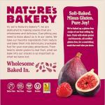 Nature's Bakery Gluten-Free Raspberry Fig Bars