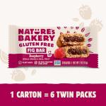 Nature's Bakery Gluten-Free Raspberry Fig Bars