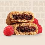 Nature's Bakery Gluten-Free Raspberry Fig Bars