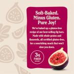Nature's Bakery Gluten-Free Raspberry Fig Bars