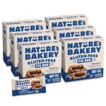 Nature's Bakery Blueberry Gluten-Free Fig Bars