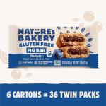Nature's Bakery Blueberry Gluten-Free Fig Bars