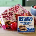 Nature's Bakery Blueberry Gluten-Free Fig Bars