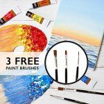 24-Color Acrylic Paint Set with Brushes