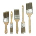 5-Piece Pro Paint Brush Set for All Projects