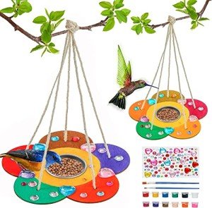 DIY Wooden Bird Feeders Craft Kit for Kids