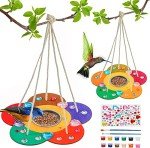 DIY Wooden Bird Feeders Craft Kit for Kids
