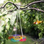 DIY Wooden Bird Feeders Craft Kit for Kids