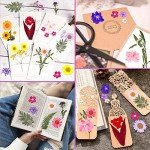 140 Pcs Dried Pressed Flowers for Crafting
