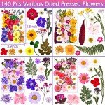 140 Pcs Dried Pressed Flowers for Crafting