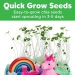 Unicorn Terrarium Kit for Creative Kids