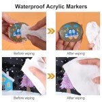 30 Colors Waterproof Dual Tip Acrylic Paint Pens