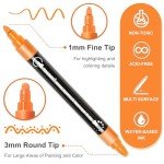 24-Color Dual Tip Acrylic Paint Pen Set