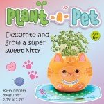 Plant-A-Pet Kitty Arts & Crafts for Kids