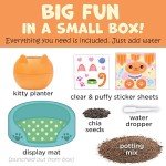 Plant-A-Pet Kitty Arts & Crafts for Kids