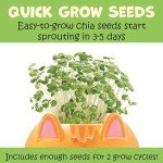 Plant-A-Pet Kitty Arts & Crafts for Kids