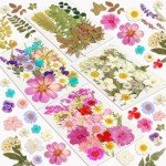 100Pcs Dried Flowers for DIY Crafts
