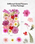 100Pcs Dried Flowers for DIY Crafts