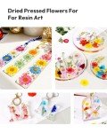 100Pcs Dried Flowers for DIY Crafts