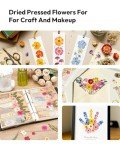 100Pcs Dried Flowers for DIY Crafts