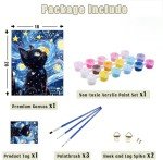 Black Cat Paint by Numbers Kit for Adults