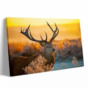 Personalized Custom Canvas Prints for Kids' Art