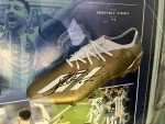 Lionel Messi Signed World Cup Boots - Qatar 2022