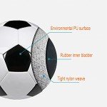 SPDTECH Size 2 Soccer Ball for Kids