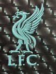Liverpool 2019/20 Third Jersey - #4 Virgil