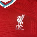 Nike Liverpool Virgil #4 2020 Vaporknit Soccer Jersey