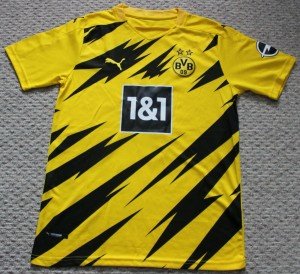 Puma Borussia Dortmund Erling Haaland #9 Jersey