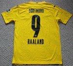 Puma Borussia Dortmund Erling Haaland #9 Jersey