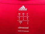 Bayern Munich Manuel Neuer #1 Match Shirt & Armband