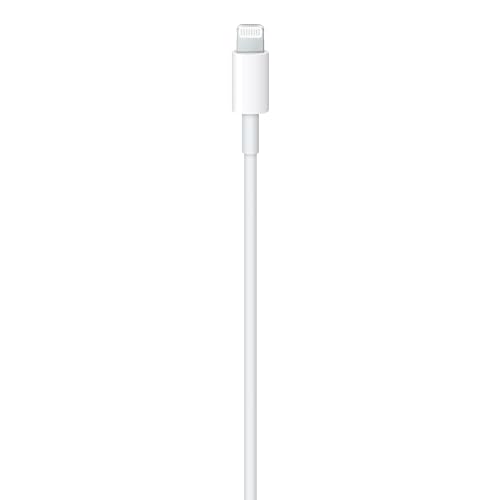 Apple Lightning to USB-C Cable, 1 Meter